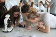 Danish stem cell scientists go to school for the day!