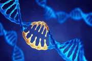 Chinese scientists snip mutant DNA to fix human embryo gene