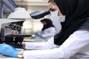 What can Iranian scientists teach the West about stem cell research?