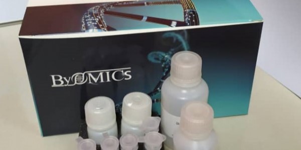 زیست پروتئین پژوه تهران (بایومیکس)