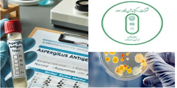 شرکت راکیزه ژن فناور مواد